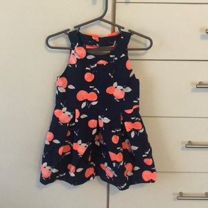 Sz 2T Janie and Jack dress